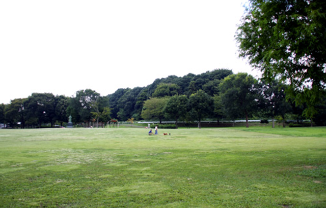 広場