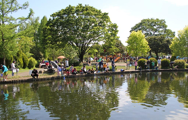 埼玉 大崎 公園