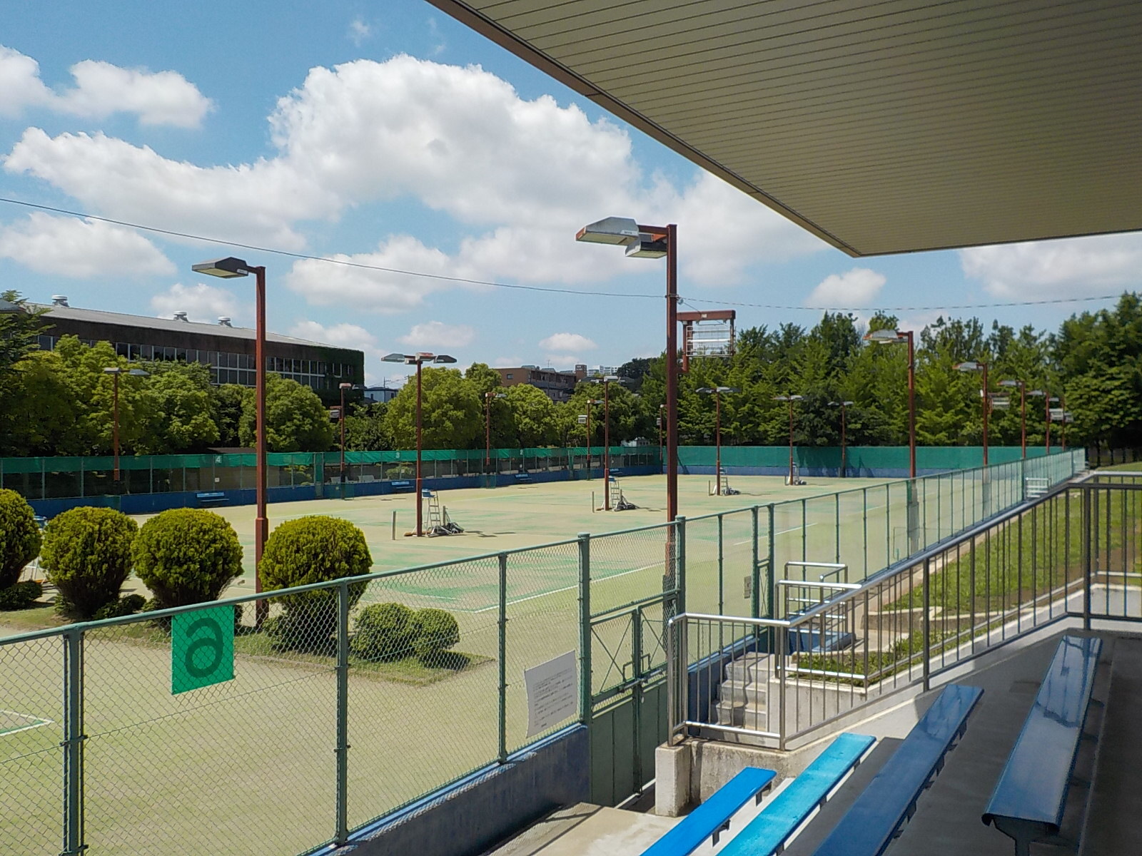 さいたま 市 テニス 協会